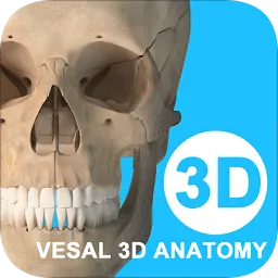 维萨里3D解剖教学全集终身免费版