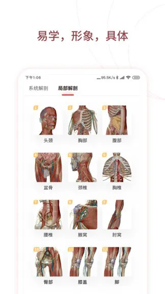 人体解剖3d中文版(口袋人体解剖) v3.0.0 安卓版 1
