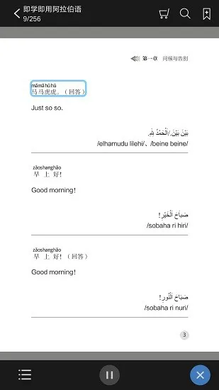 即学即用阿拉伯语apk v2.95.19 安卓版 1