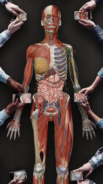 human anatomy atlas 2021 v2021.2.27 安卓手机版 0