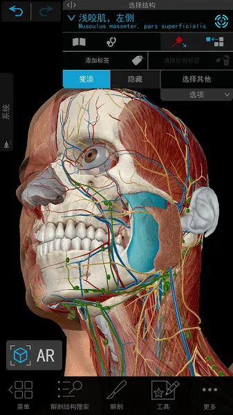 human anatomy atlas 2021 v2021.2.27 安卓手机版 3
