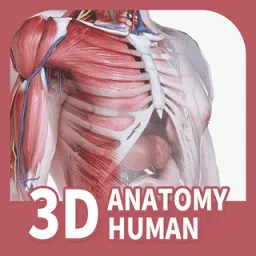 人体解剖3d中文版(口袋人体解剖