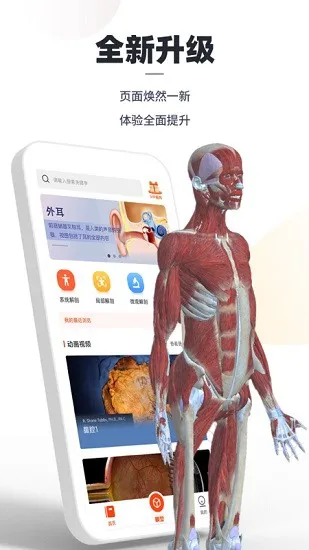 口袋人体解剖官方版 v3.0.3 安卓版 3