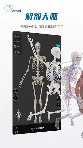 解剖大师最新版 v3.1.0 安卓版 3