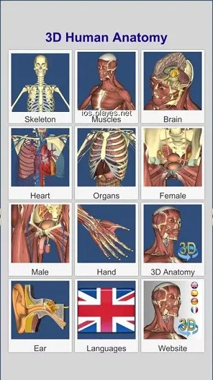 anatomy learning下载