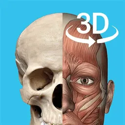 3d人体解剖学三维图谱