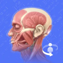 人体3D解剖图谱手机版