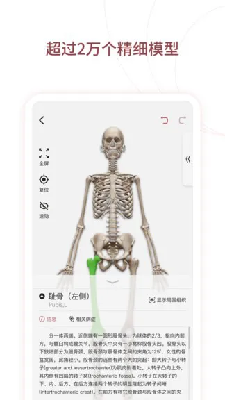 人体解剖3d中文版(口袋人体解剖) v3.0.0 安卓版 3
