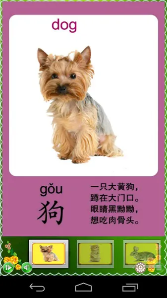 认识动物宝宝早教手机版 v5.89 安卓中文版 2