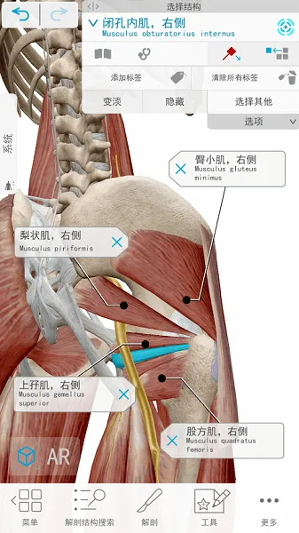 human anatomy atlas安卓版
