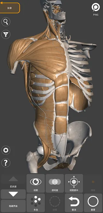艺术家之3d解剖图安卓版 v2.0.10 免费版 0