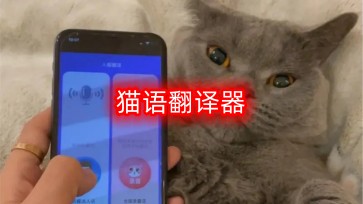 猫语翻译器下载免费_猫语翻译器软件推荐_猫语翻译器中文版下载安装