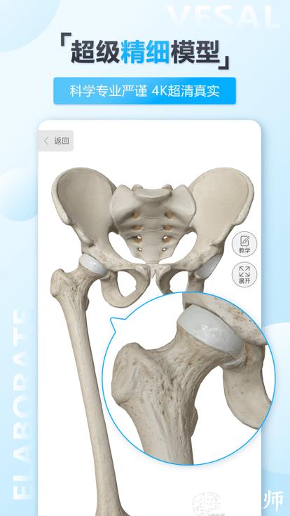 维萨里3d解剖app v6.2.0 安卓最新免费版 1