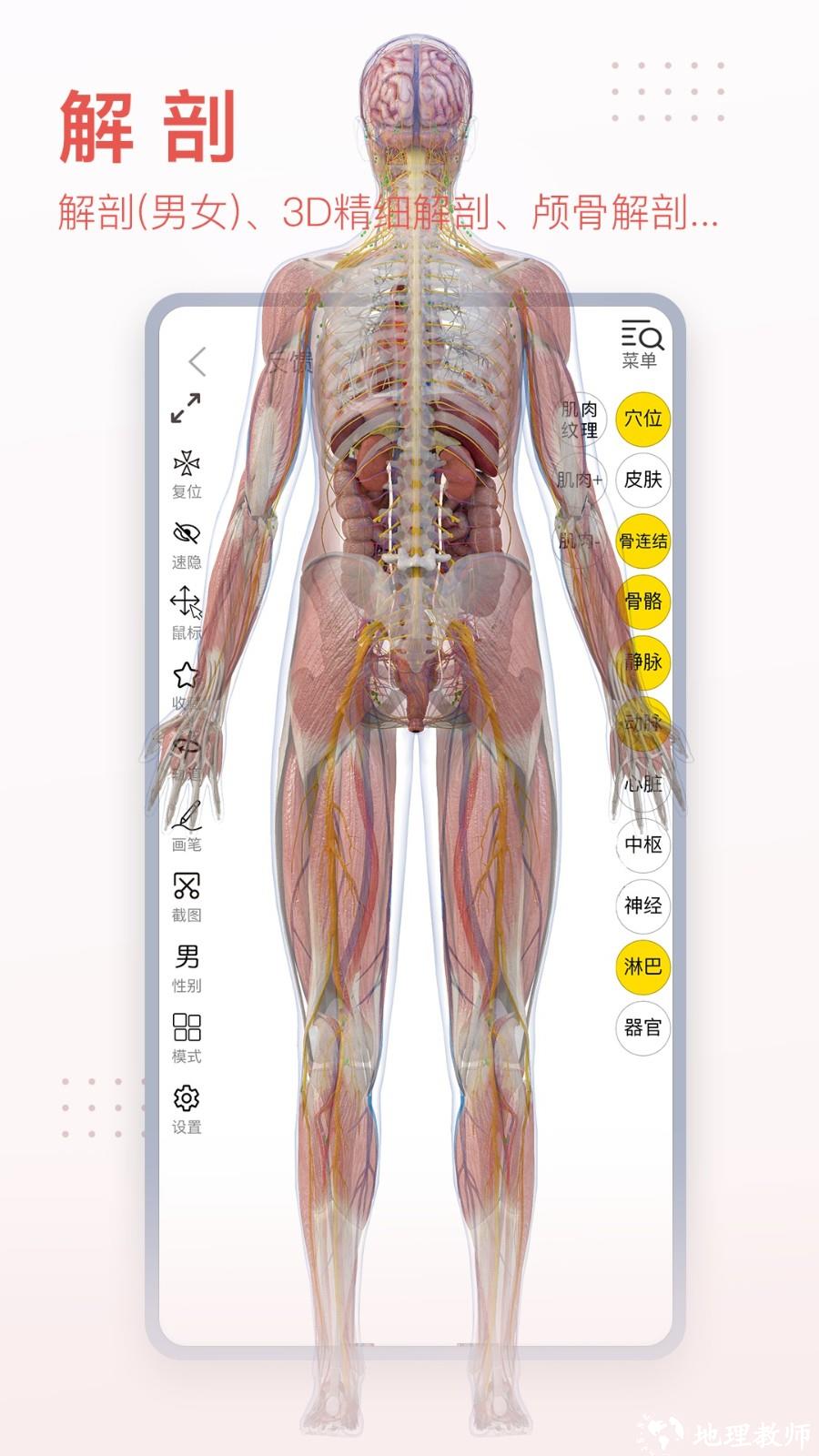 3dbody三维免费人体解剖软件 v8.8.20 官方安卓版 4