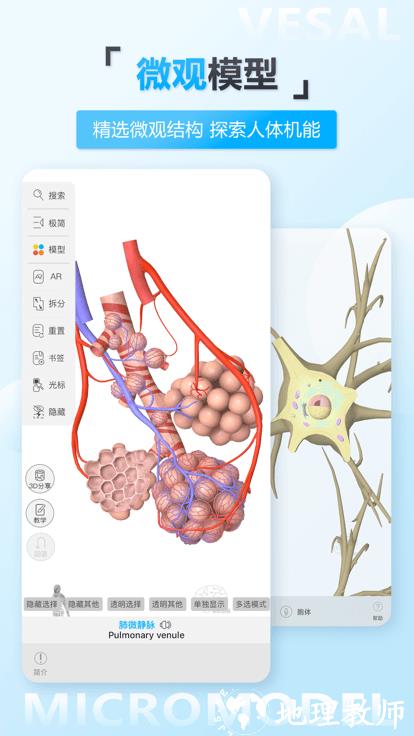 维萨里3d解剖app v6.2.0 安卓最新免费版 3