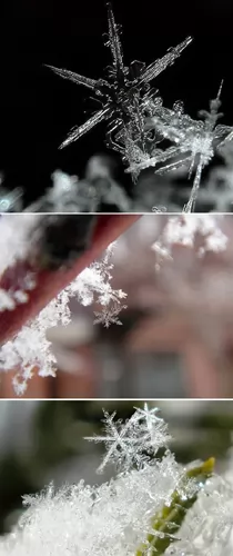 雪片 十大天然冰冻奇观:南极彩色斑纹冰山(图)