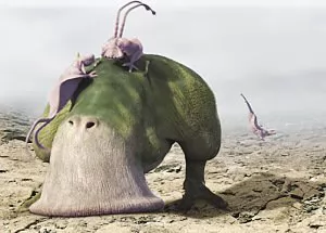 “չʾ”̬ ˮĸ