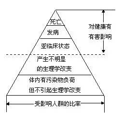 Ⱦ彡Ӱ
