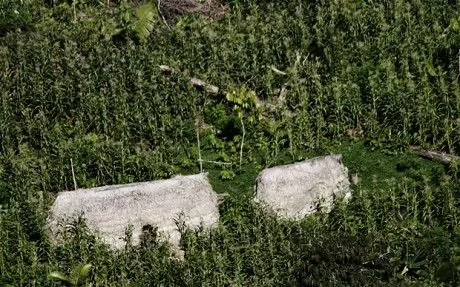 ȴ־