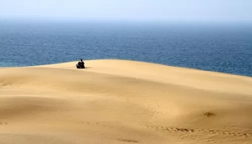 ձΨһɳĮ