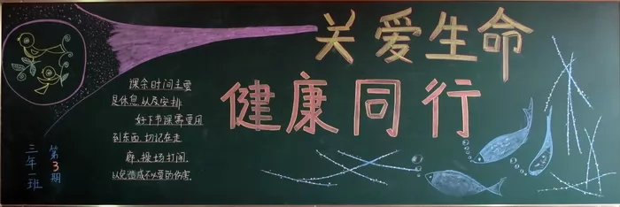 ȫڰ屨,ȫ