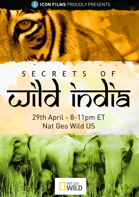 ҵ-ҰӡȵܣSecrets of Wild India