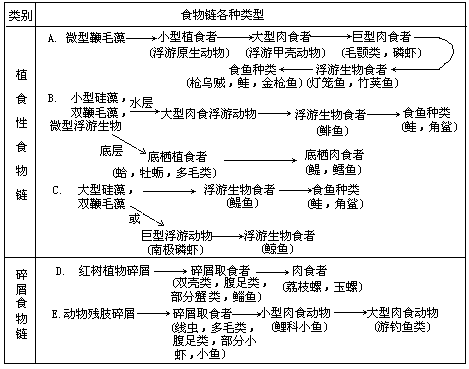 水生动物食物链图片