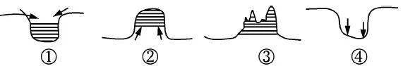 ʡĴУ2016 -  - ǿ