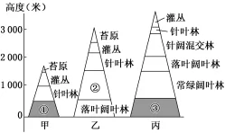 2018年高考地理热点题型和提分秘籍专题17自然地理环境的差异性【解析】 2018年高考地理热点题型和提分秘籍专题17自然地理环境的差异性【解析】