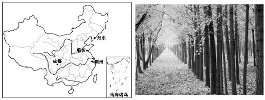 安徽省淮北市2018届高三第一次模拟考试文综地理【解析】 安徽省淮北市2018届高三第一次模拟考试文综地理【解析】