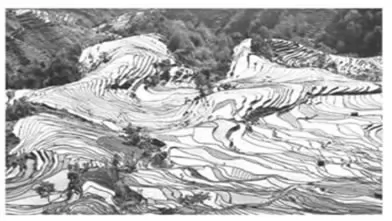 湖北省襄阳市四校高二2017-2018学年下学期期中联考地理【解析】 湖北省襄阳市四校高二2017-2018学年下学期期中联考地理【解析】