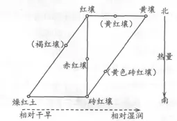 㽭ʡ20189¸߿ѡԿԵ