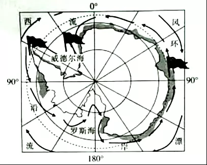 201811°ǧ⡾