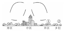 101ѧһ2018-2019ѧѧпԵ