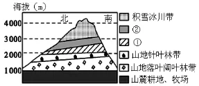 γ2019꼶һѧпԵ