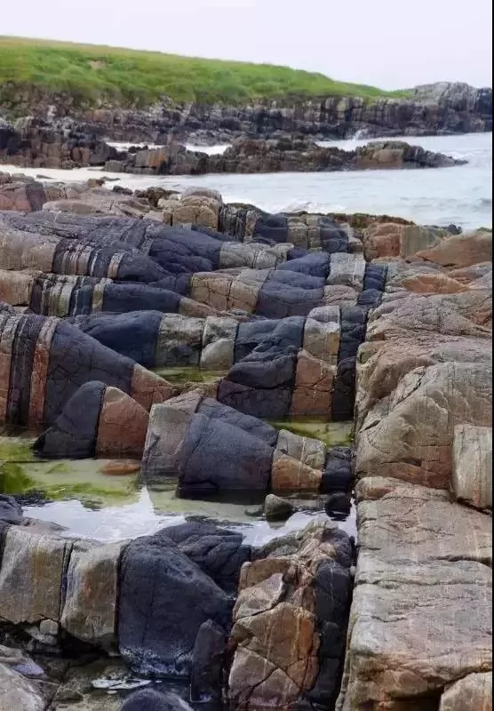 100ĵʾ