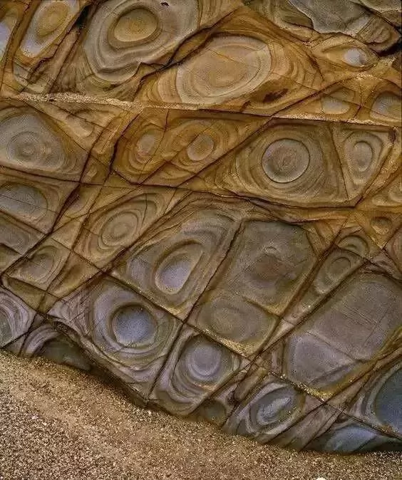 100ĵʾ