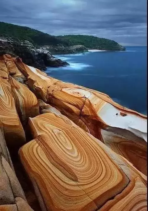 100ĵʾ