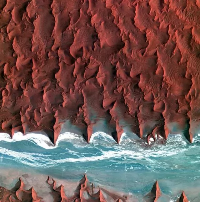100ĵʾ