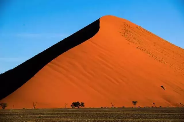 100ĵʾ