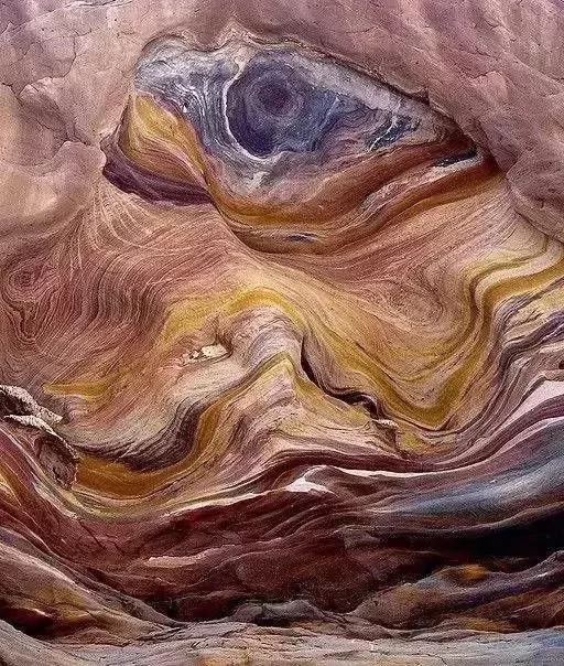 100ĵʾ