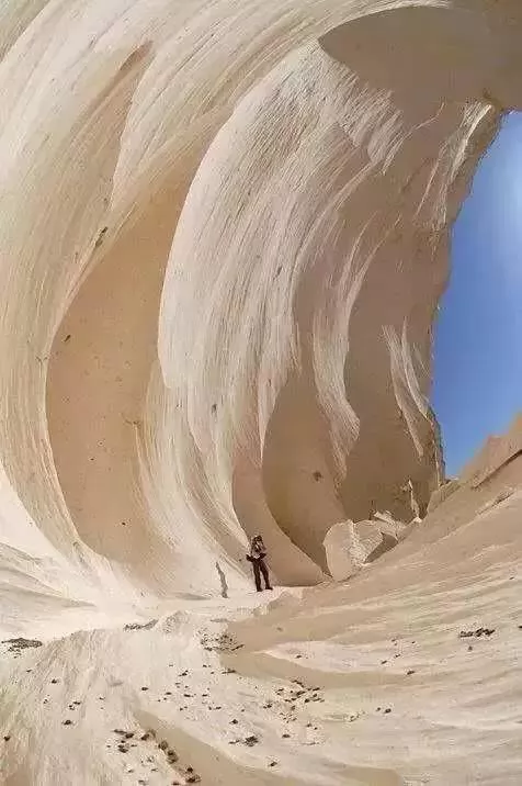100ĵʾ