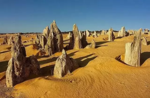 100ĵʾ