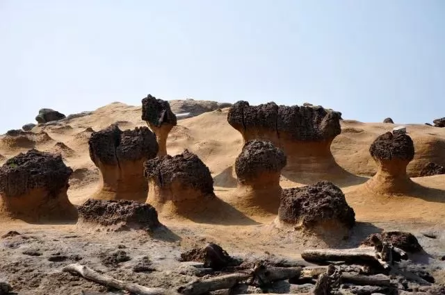 100ĵʾ