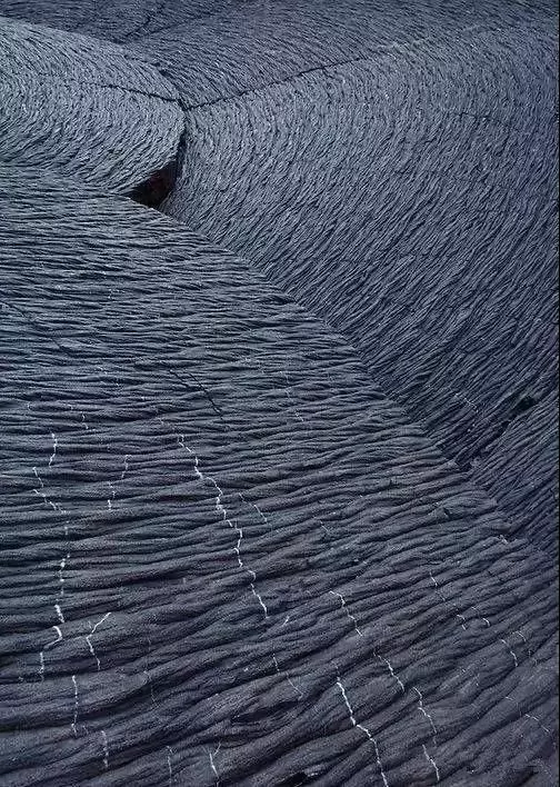100ĵʾ