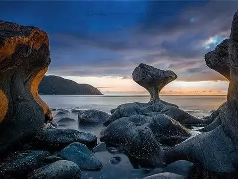 100ĵʾ