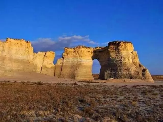 100ĵʾ