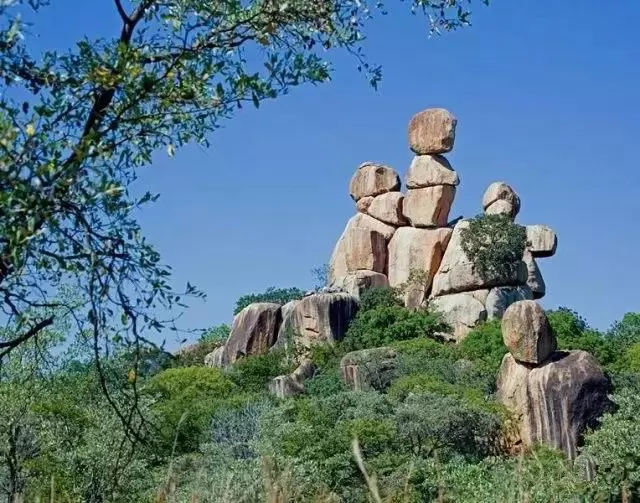 100ĵʾ