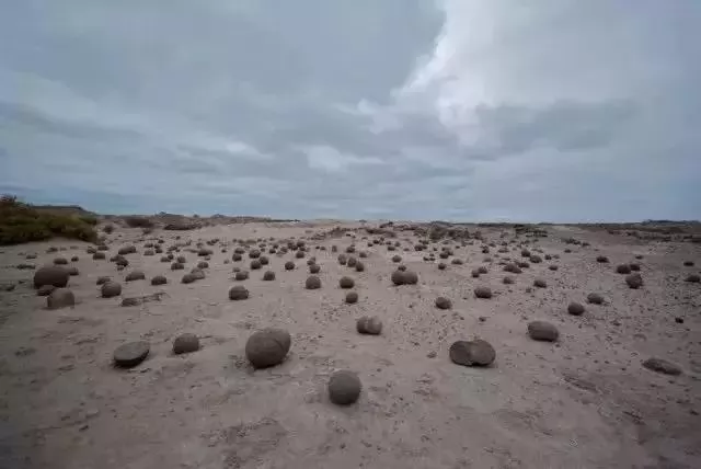 100ĵʾ