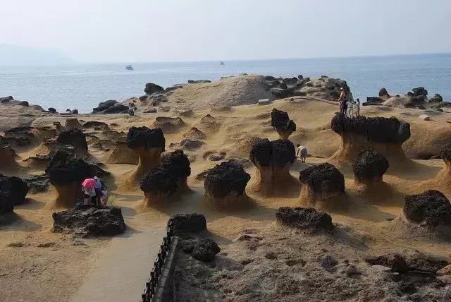 纱ĵ漣